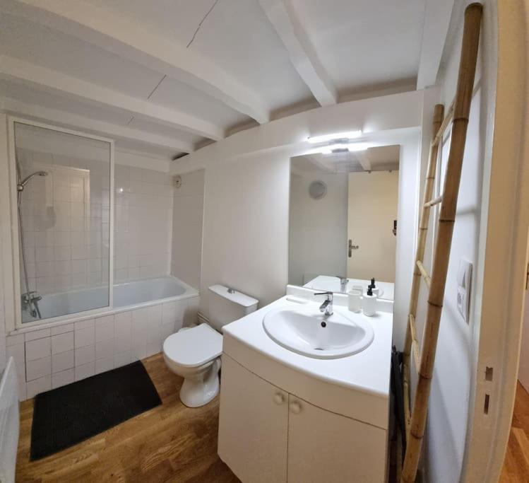 Appartamento T2 Charmant - Hypercentre - Quai De Garonne - Wifi Tolosa Esterno foto